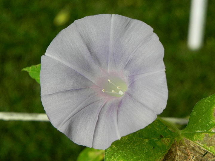 DSCN8065_01