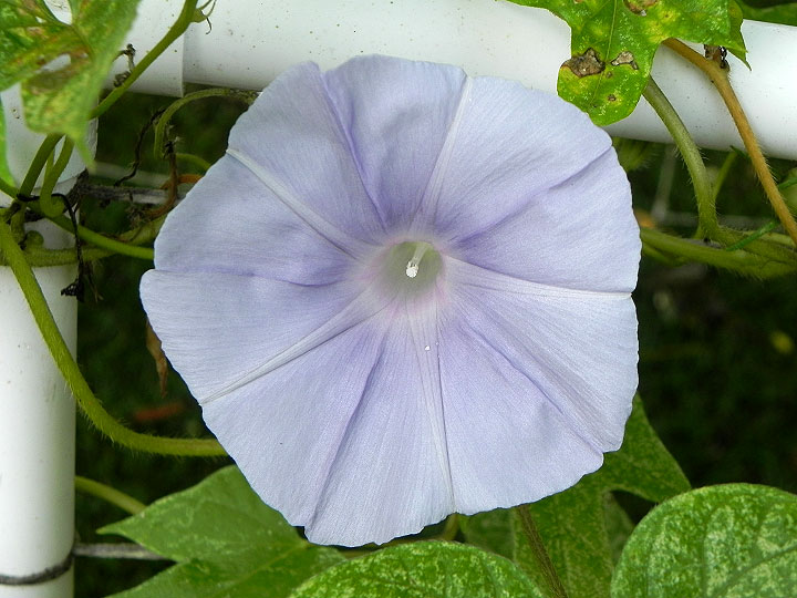 DSCN8438