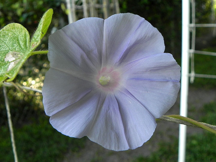 DSCN8717_01