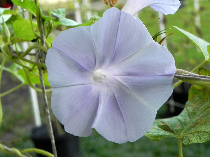 DSCN9159