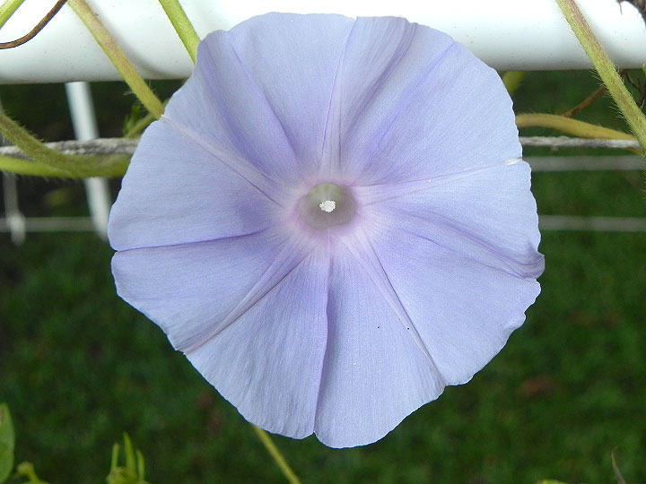 DSCN9340