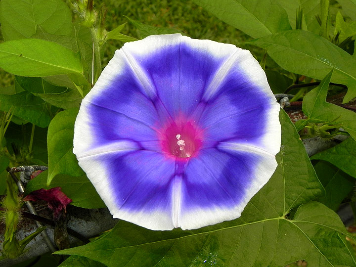1-18n-DSCN1393