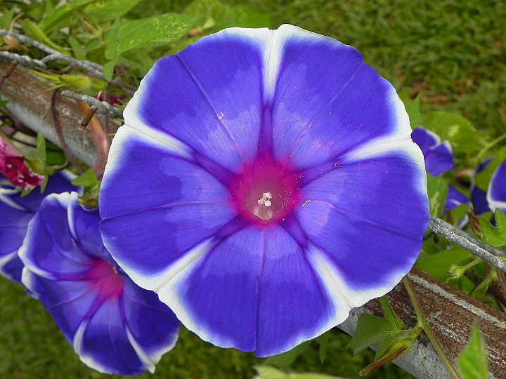 18-DSCN0662