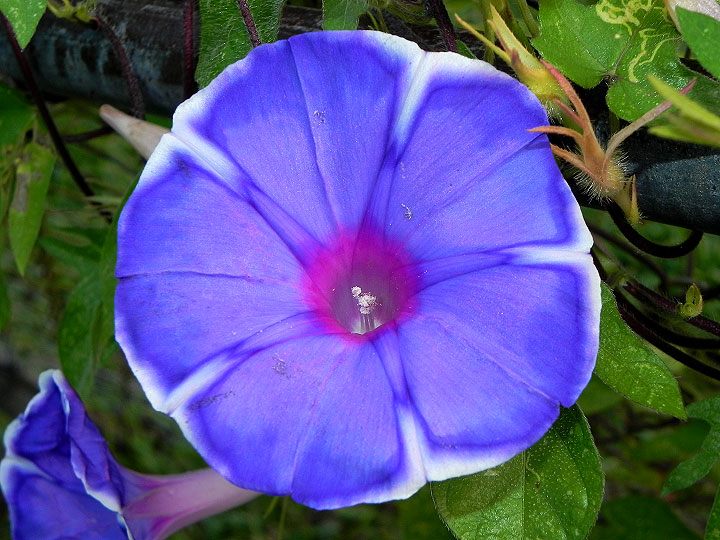 18-DSCN0870