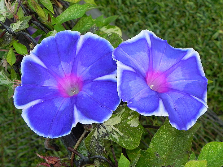 18-DSCN3537