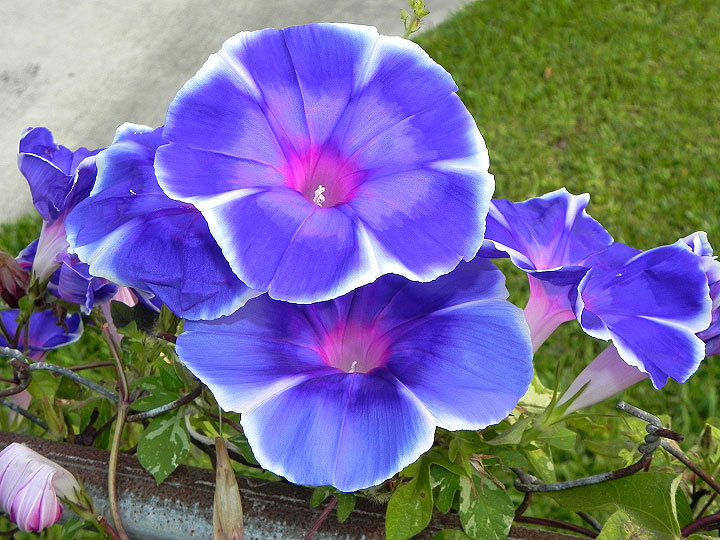 18-DSCN4789
