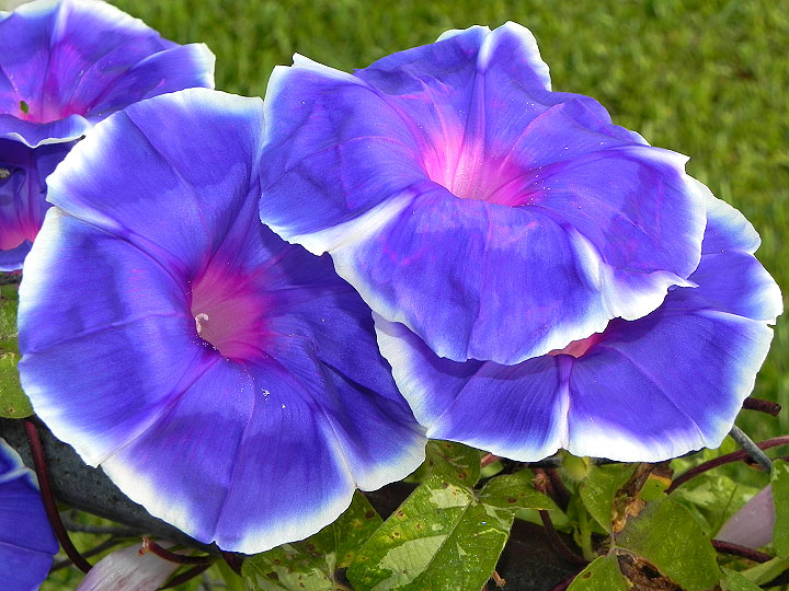 18-DSCN5093