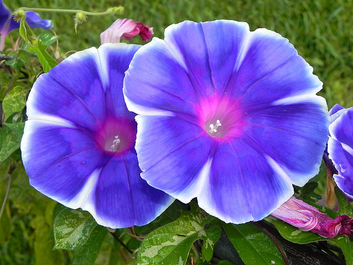 18-DSCN5094