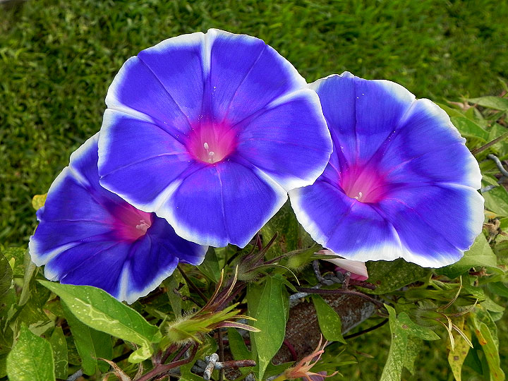 18-DSCN5840
