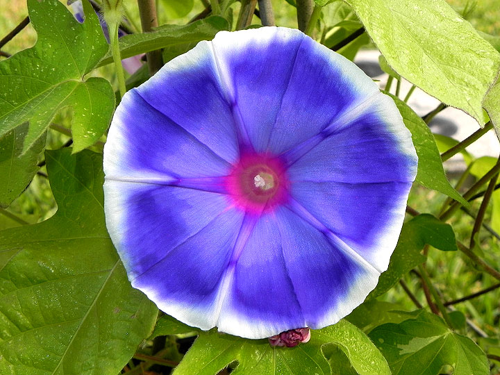 18-DSCN6481