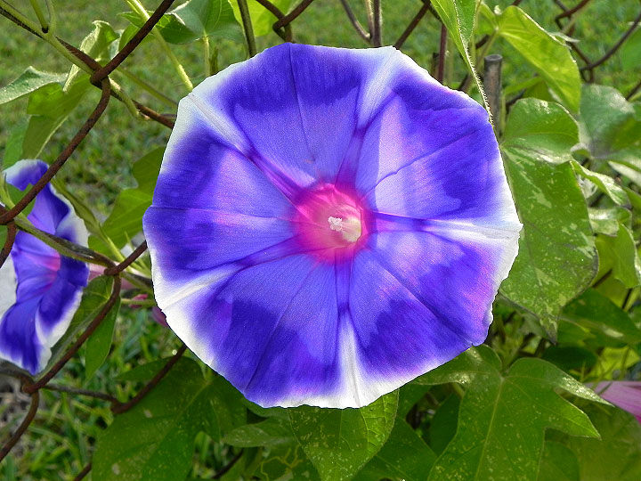 18-DSCN6561