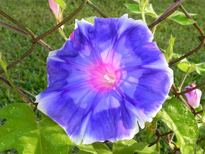 18-DSCN6563
