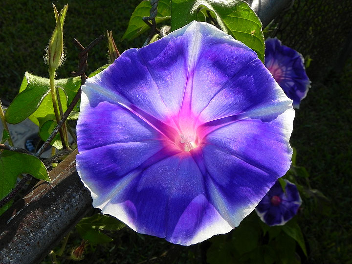 18-DSCN6564
