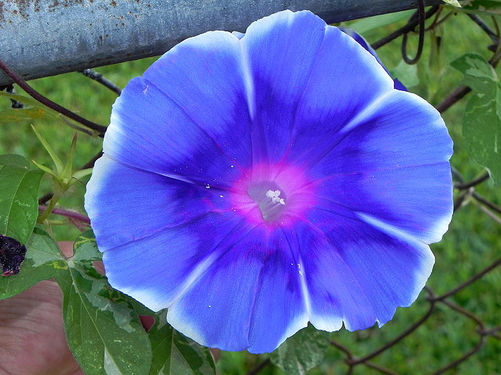 18-DSCN6609