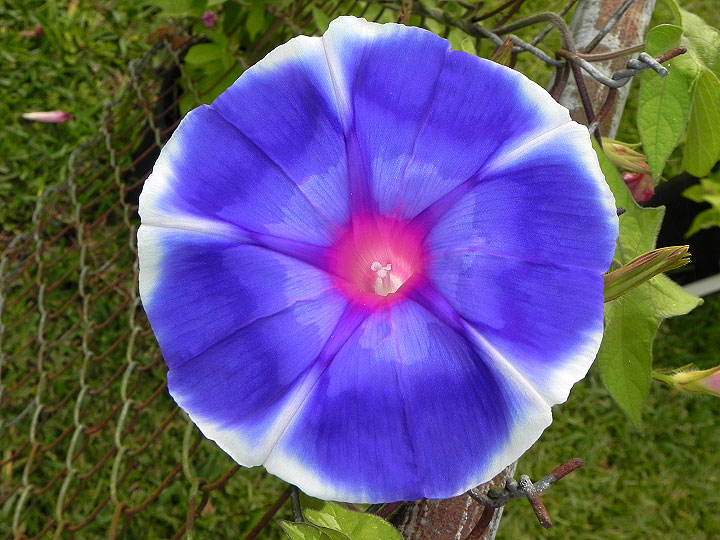 18-DSCN6666