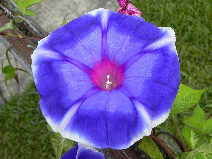 18-DSCN6769
