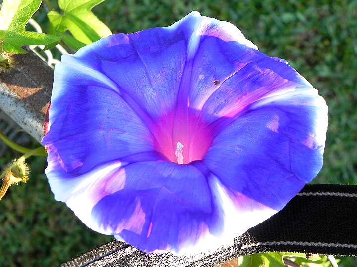 18-DSCN7226