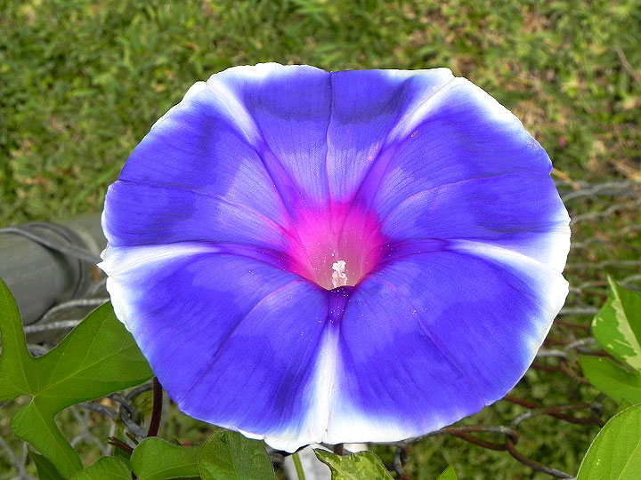 18-DSCN7495