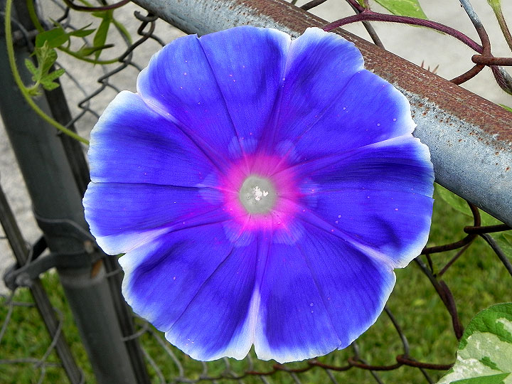 18-DSCN7637