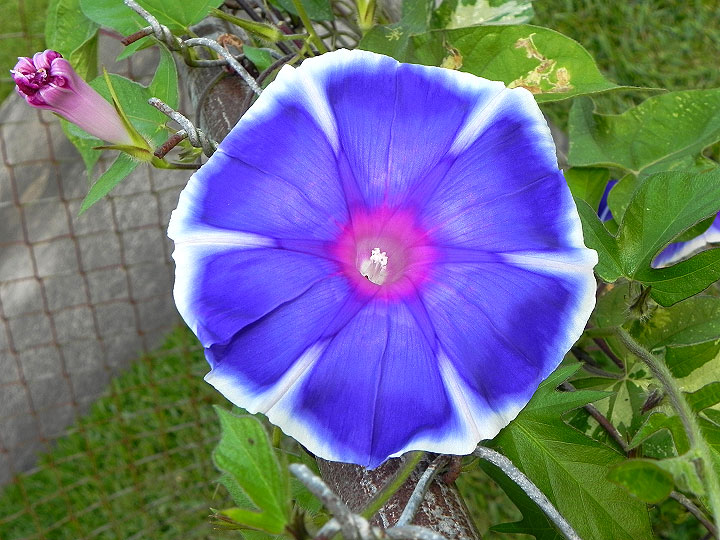 18-DSCN7972
