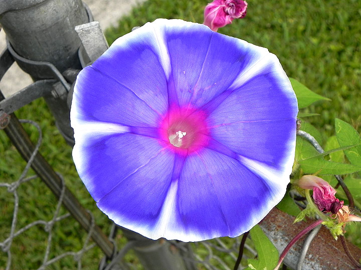 18-DSCN8168