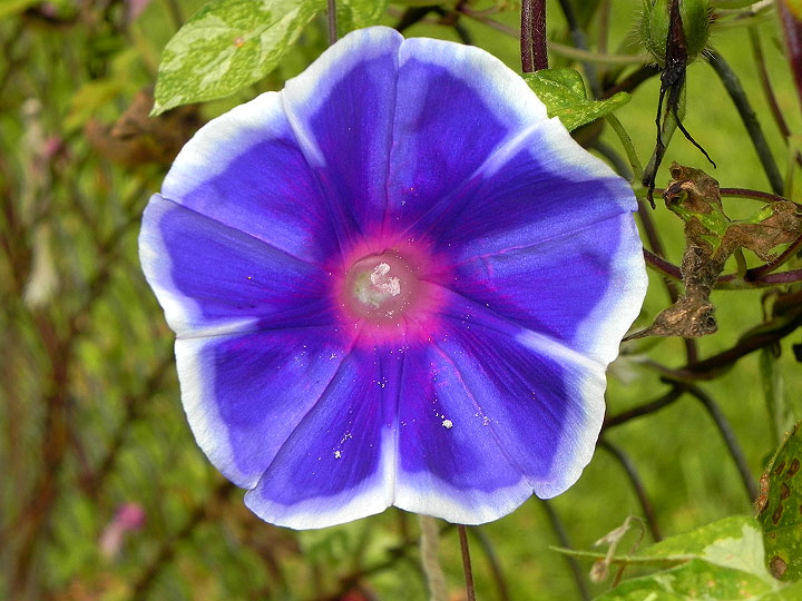 18-DSCN8757