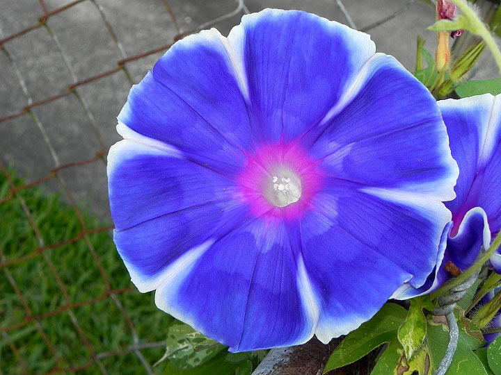 18-DSCN8982