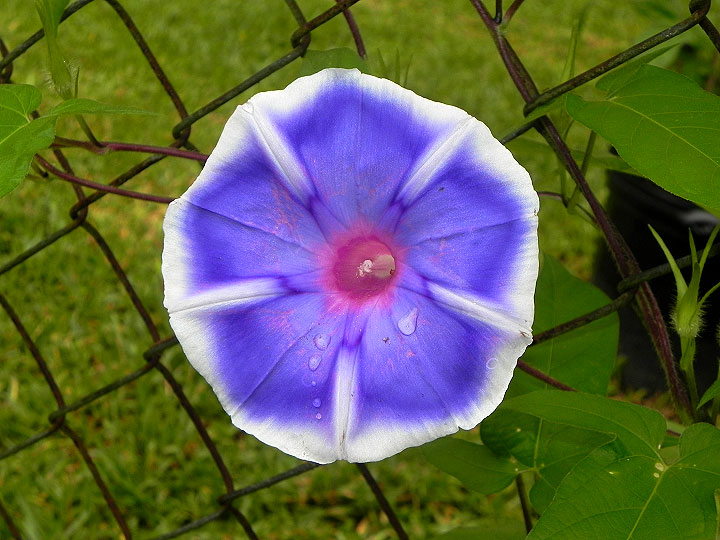 18n-DSCN0852