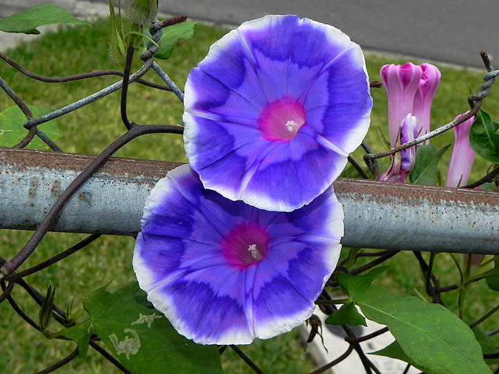 18n-DSCN1793