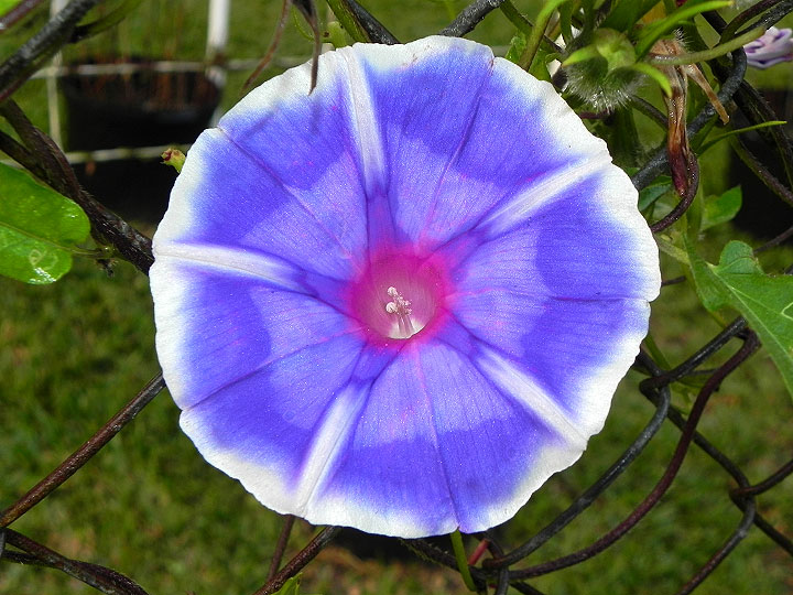 18n-DSCN3740