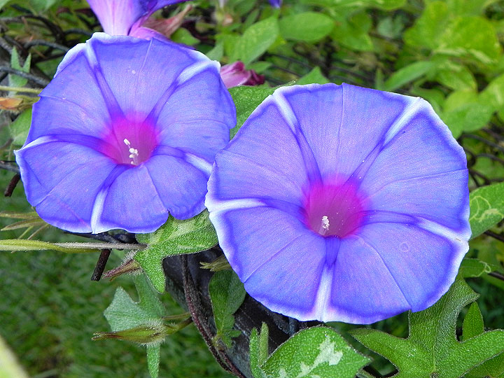 2-18-DSCN1636
