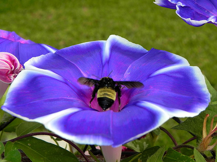 3-18-DSCN5393