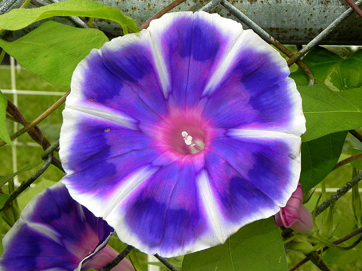 4-18n-DSCN1898