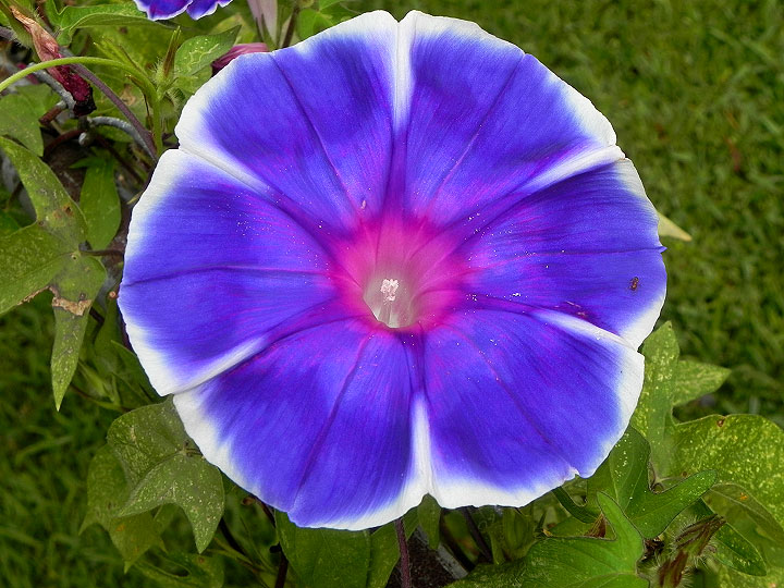 5-18-DSCN5658