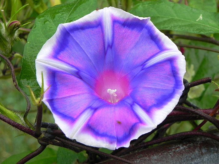 6-18n-DSCN3468