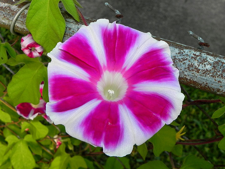 1-16-DSCN6321