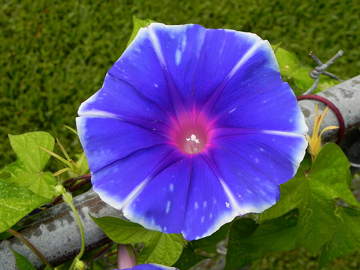 1-22-DSCN0680