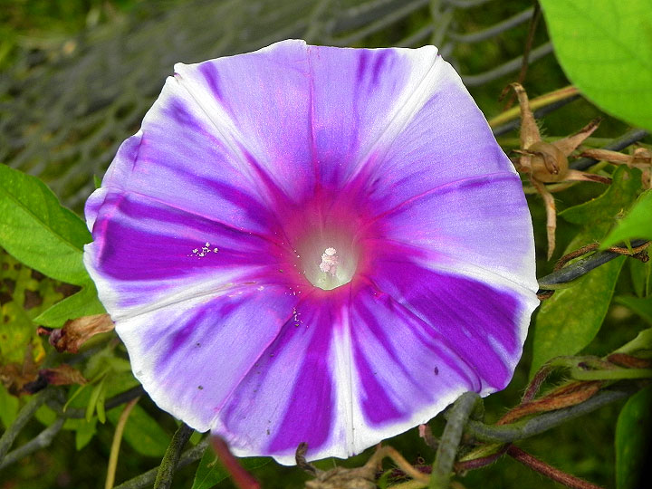1-24-DSCN8164