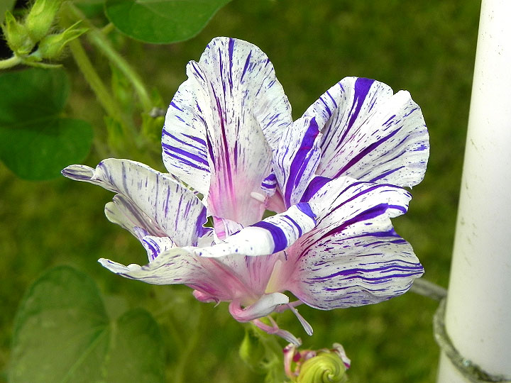 1-34e-DSCN8227