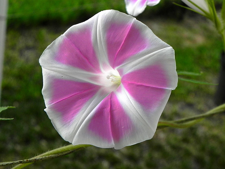 1-37-DSCN2585