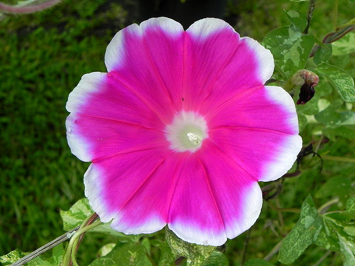 1-41w-DSCN4308