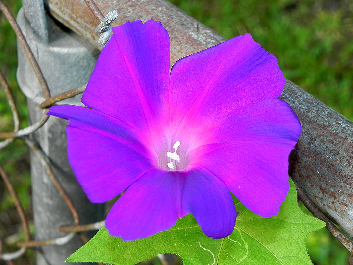 1-9-DSCN7576