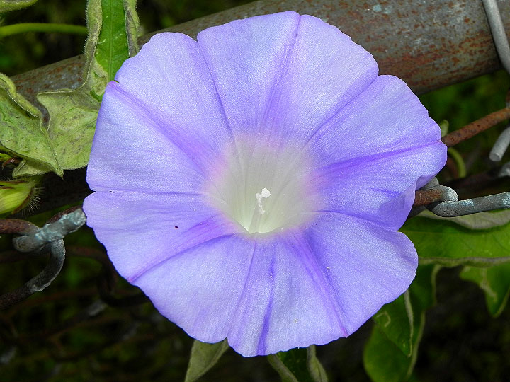 10-DSCN1896