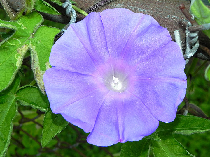 10-DSCN2119