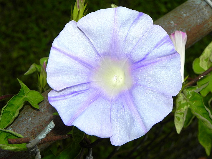 10-DSCN2120