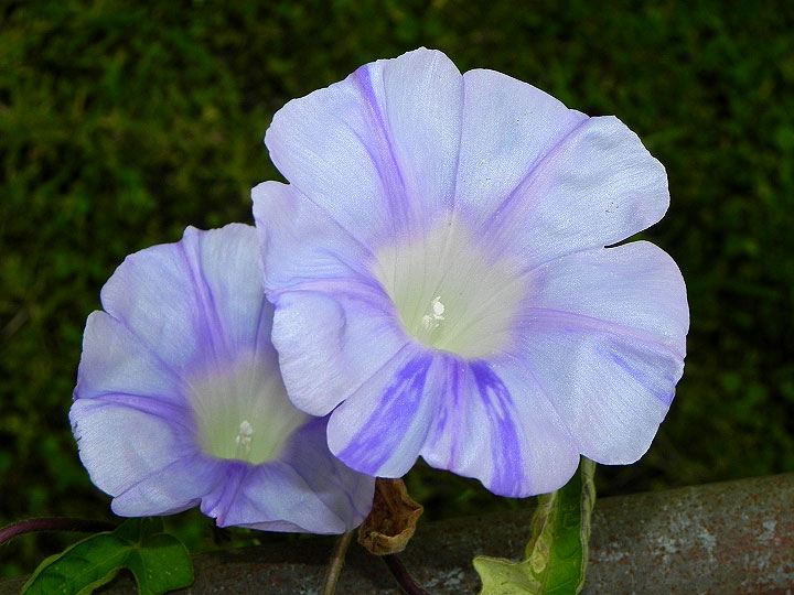 10-DSCN2379