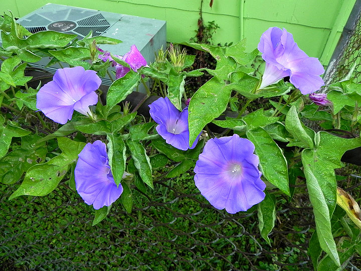 10-DSCN2829