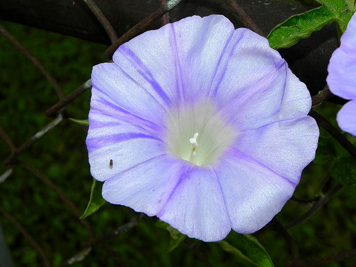 10-DSCN2834
