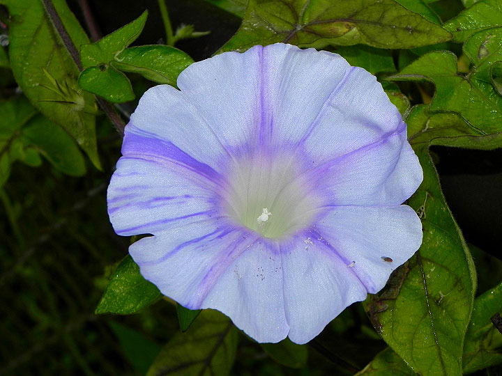 10-DSCN3089