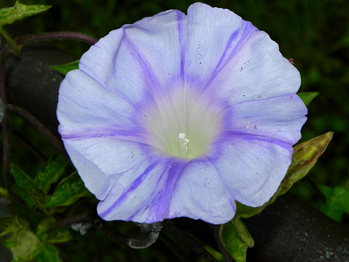10-DSCN3090